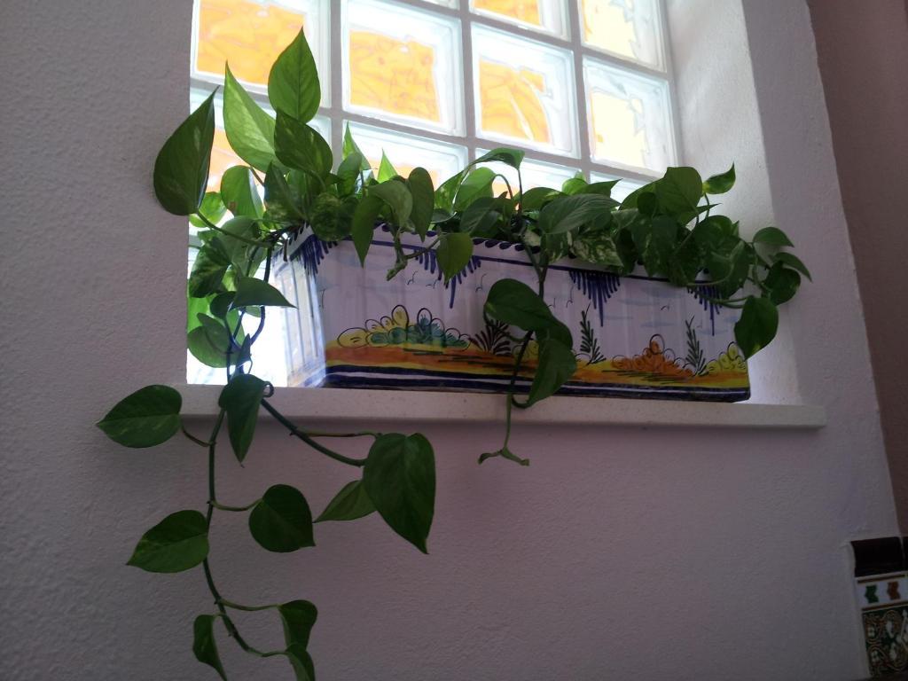 Hotel Hostal Tarik Tarifa Zewnętrze zdjęcie